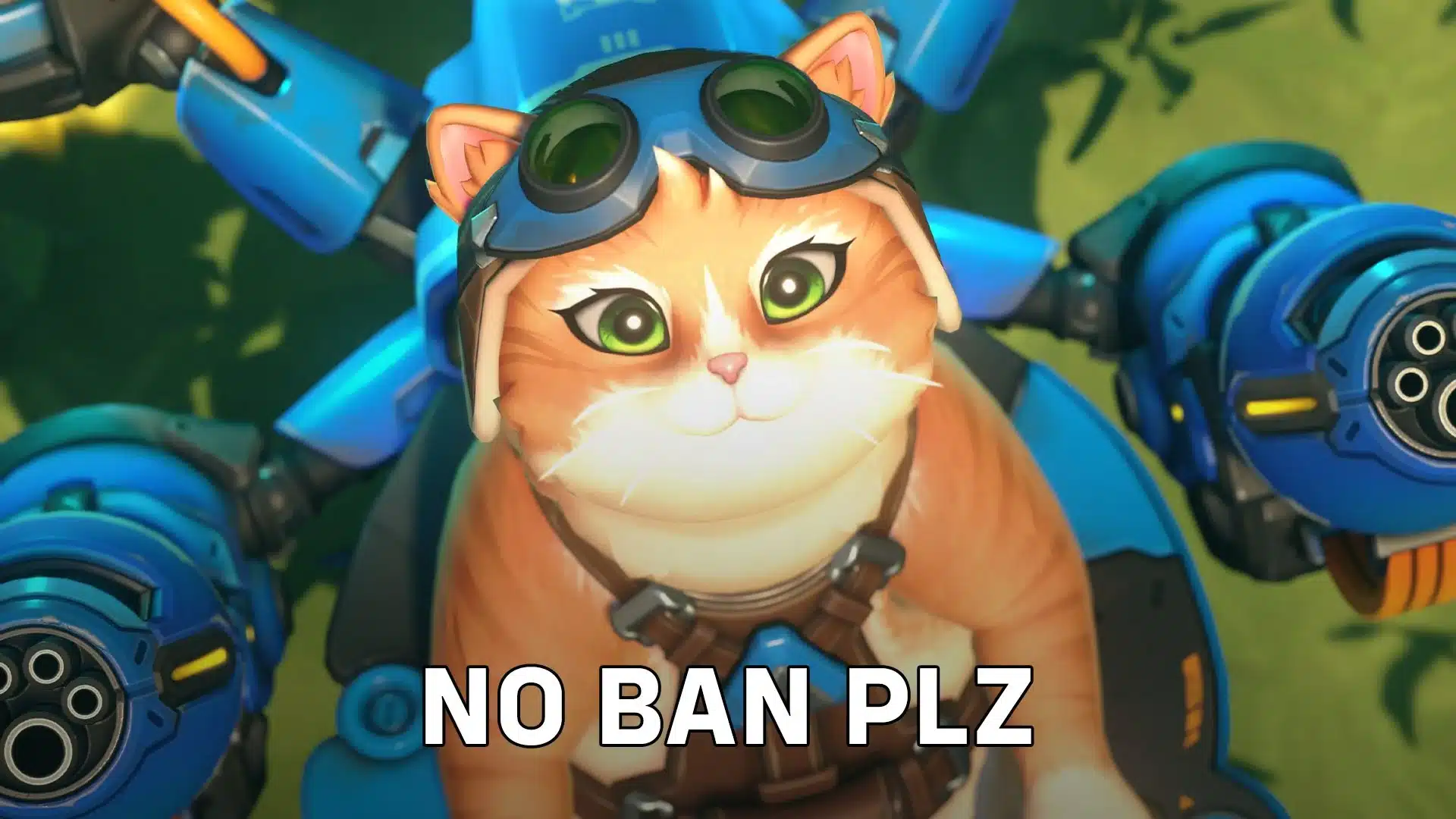 Overwatch Héros Jetpack Cat