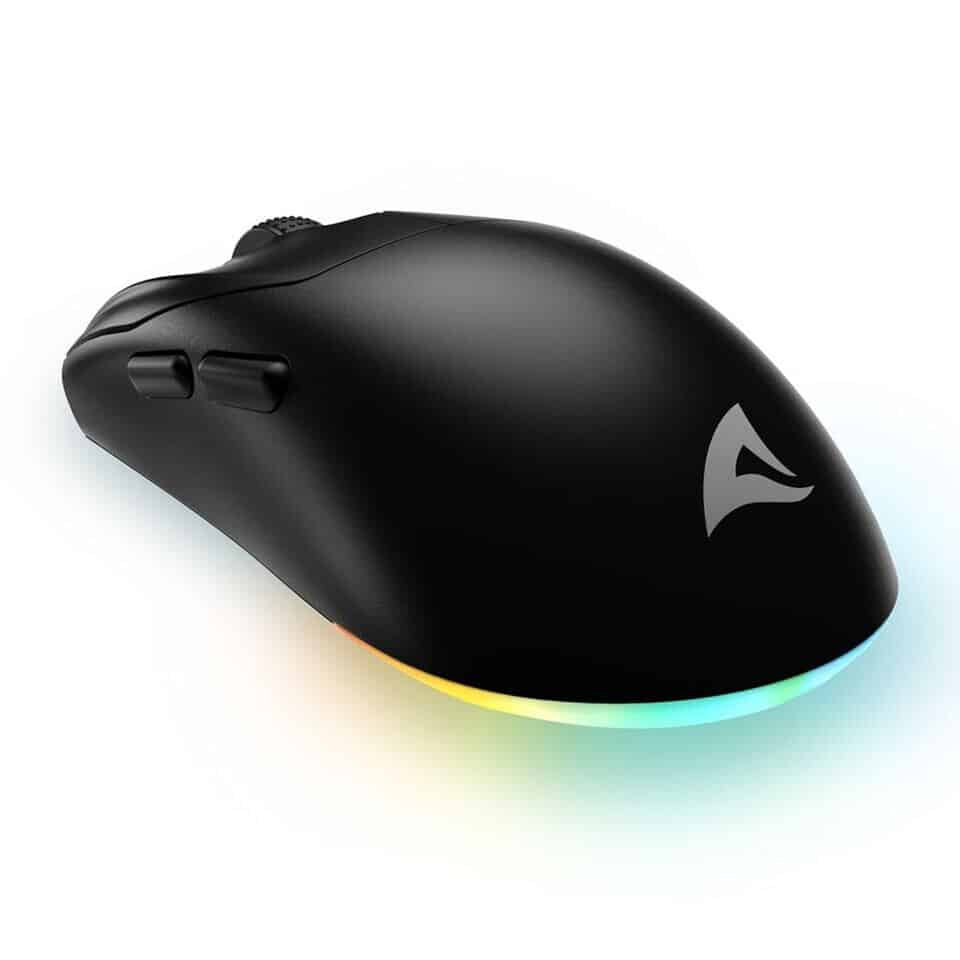 Souris gaming Sharkoon SKILLER SGM25W
