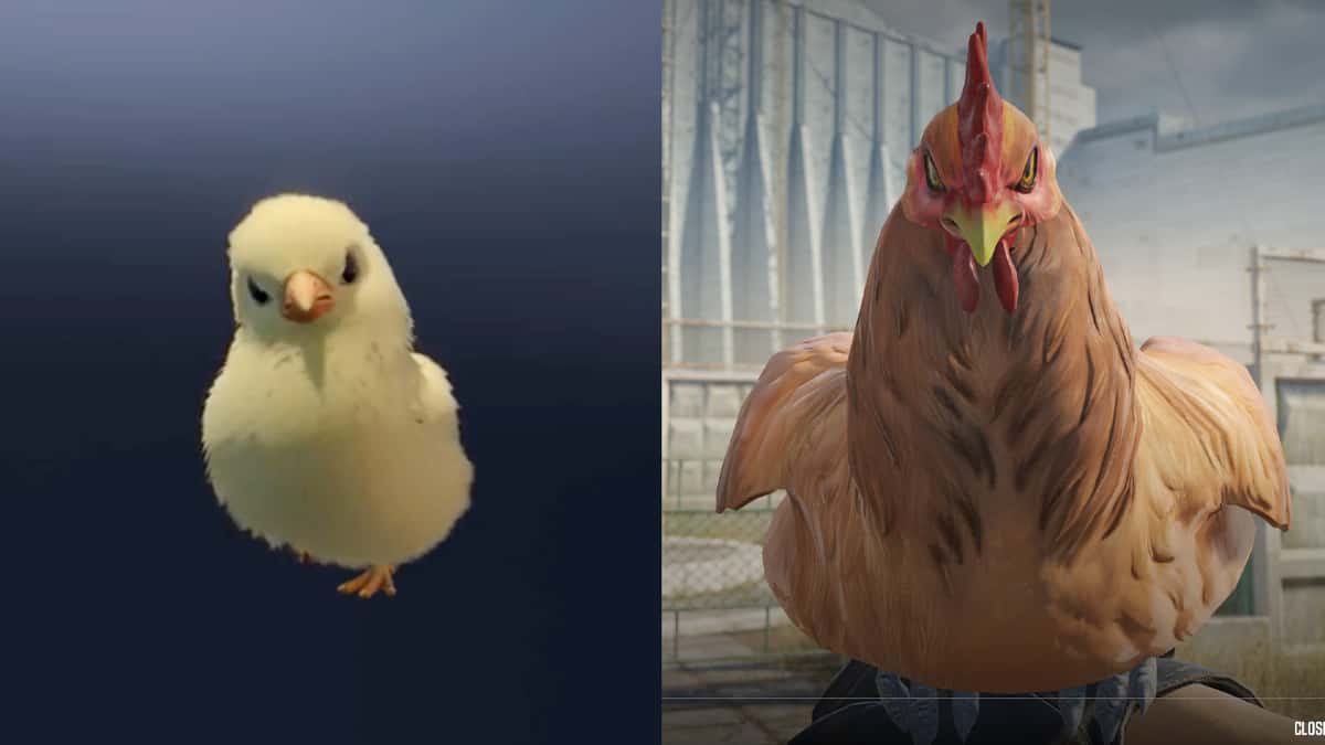 CS2 : Valve ajoute des poules de compagnie à faire éclore et collectionner