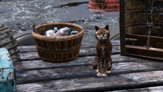Fallout 76 : World Pets prépare les compagnons de Fallout 5